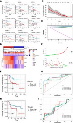 Cancer-associated fibroblast infiltration in osteosarcoma: the discrepancy in subtypes pathways and immunosuppression